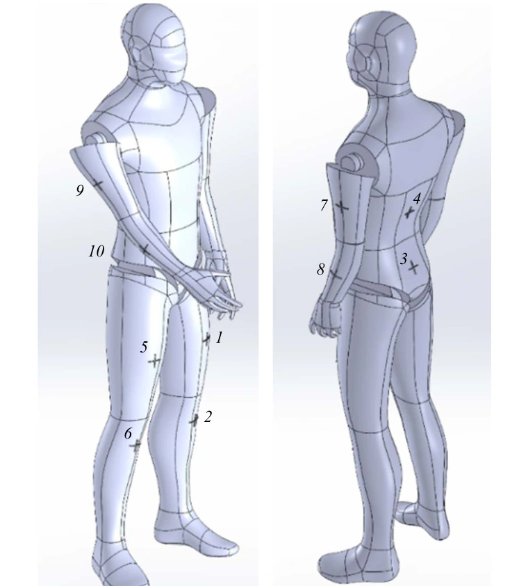 Whole-body exercise examples used to evaluate inertial sensor configurations